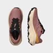 Picture of SALOMON ULTRA FLOW 2 GTX W BURLWO/TENDER/W
